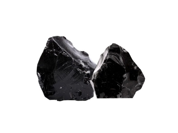 Nature’s Fuel: Why Shilajit and Dry Fruits Belong in Your Daily Routine